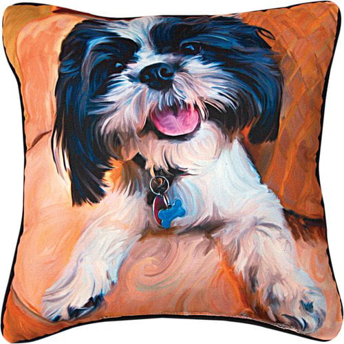 Manual Woodworkers SHSWH Southwest at Heart Vra Rectangle Throw Pillow, 